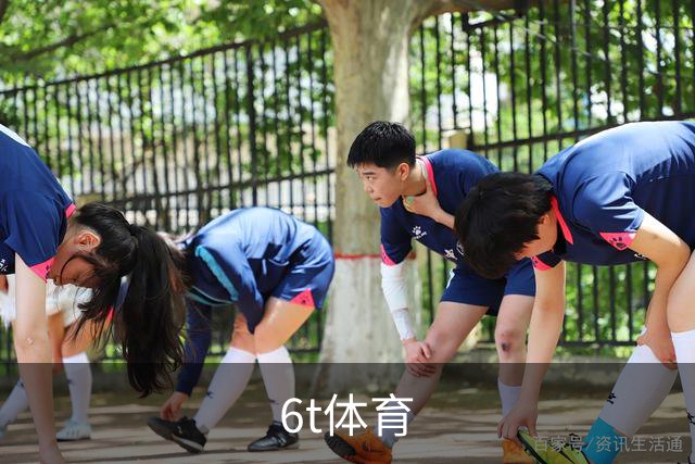 6t体育公司简介图片